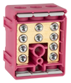 LEWDEN TERMINAL BLOCK: 5 WAY 100A | BLOCK PINK (FUNCTIONAL EARTH)